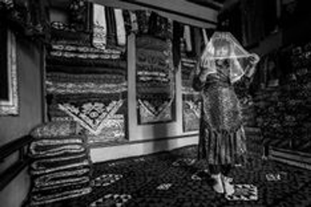 Lily Podkopayevaning mushuki